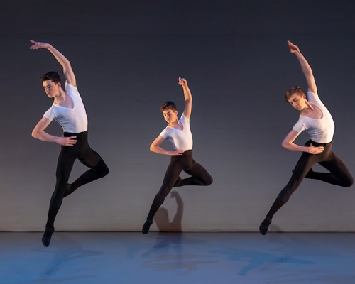 Autonomous, Diverse and Focused Healthcare for the Young Dancer