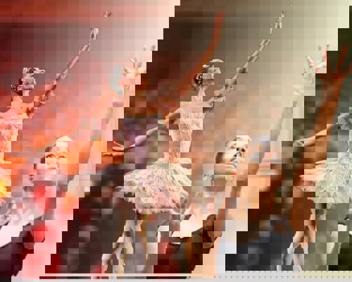 Studying and Careers in Dance Medicine and Science