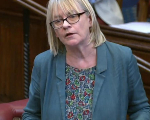 Headshot of Jane Bonham Carter. White female with short blonde hair and rectangular glasses, presenting in the house of commons. Wearing blue blazer and blue and red floral top. 