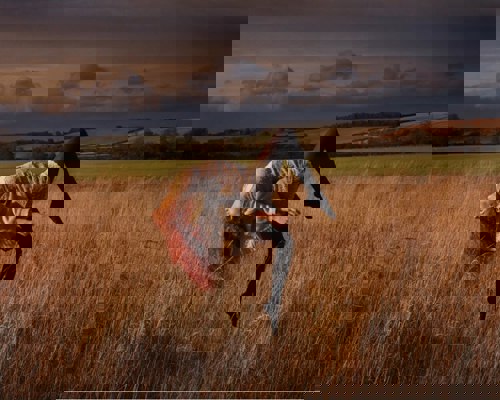 Editing Perfection: The Altered Truth