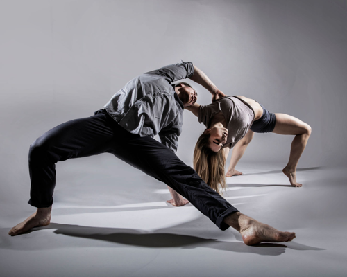 Healthier Dancer Programme Conference 2017 : ‘Mind the Gap: Train Smart, Improve Performance’ videos